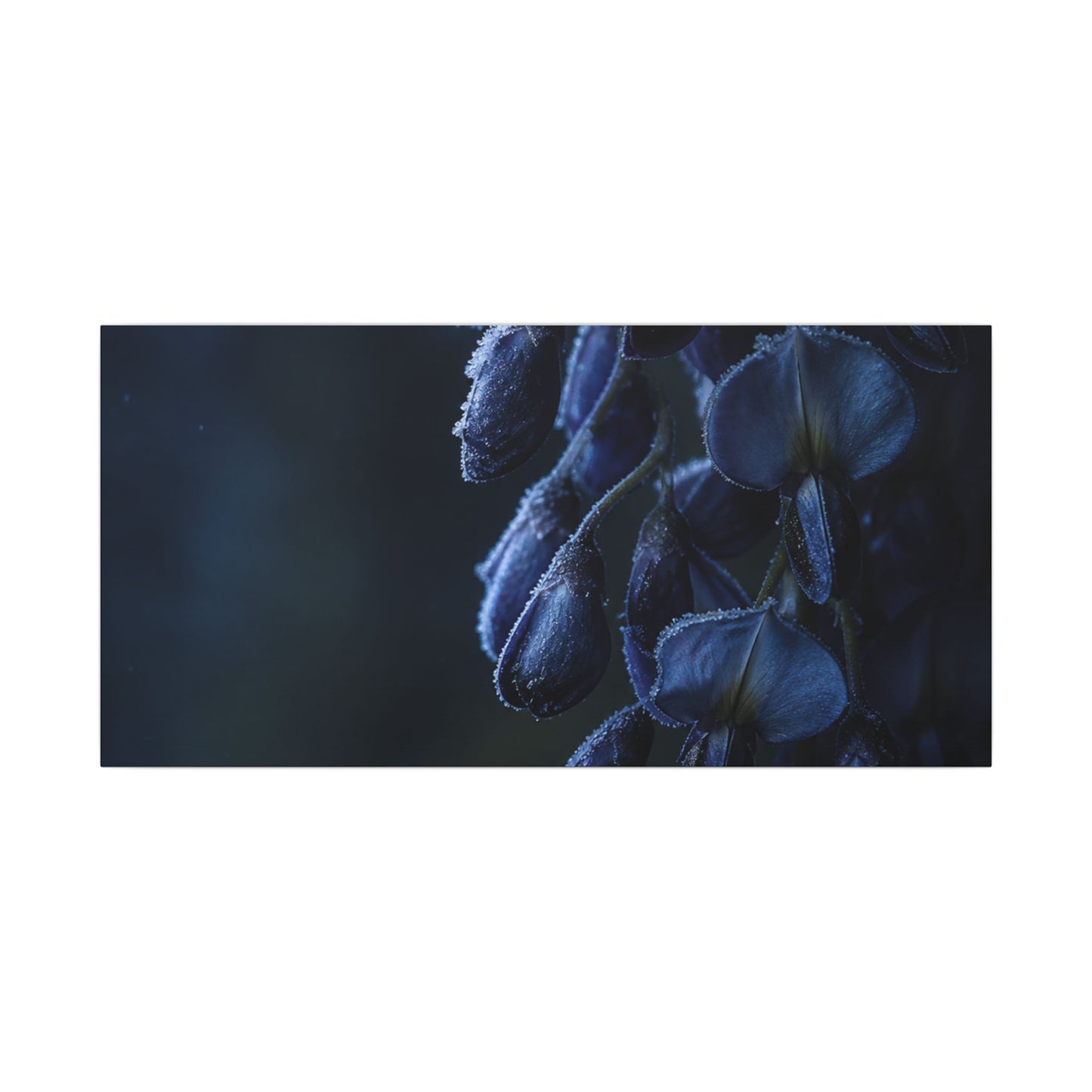 Winter Wisteria Shadow Zen Canvas Art | Atmospheric Decor