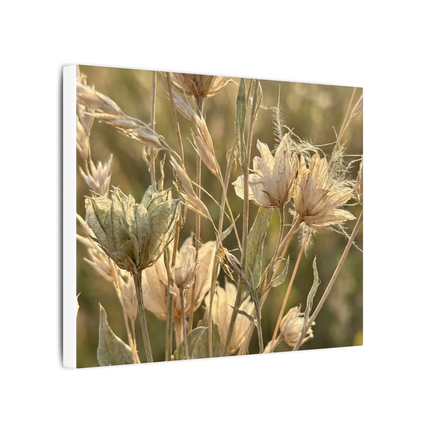 Summer Dried Flowers Minimal Line Canvas Art | Cozy Decor