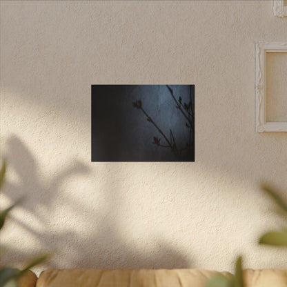 Shadow Play Canvas Art | Spring Dark Japandi Moody Minimal Art