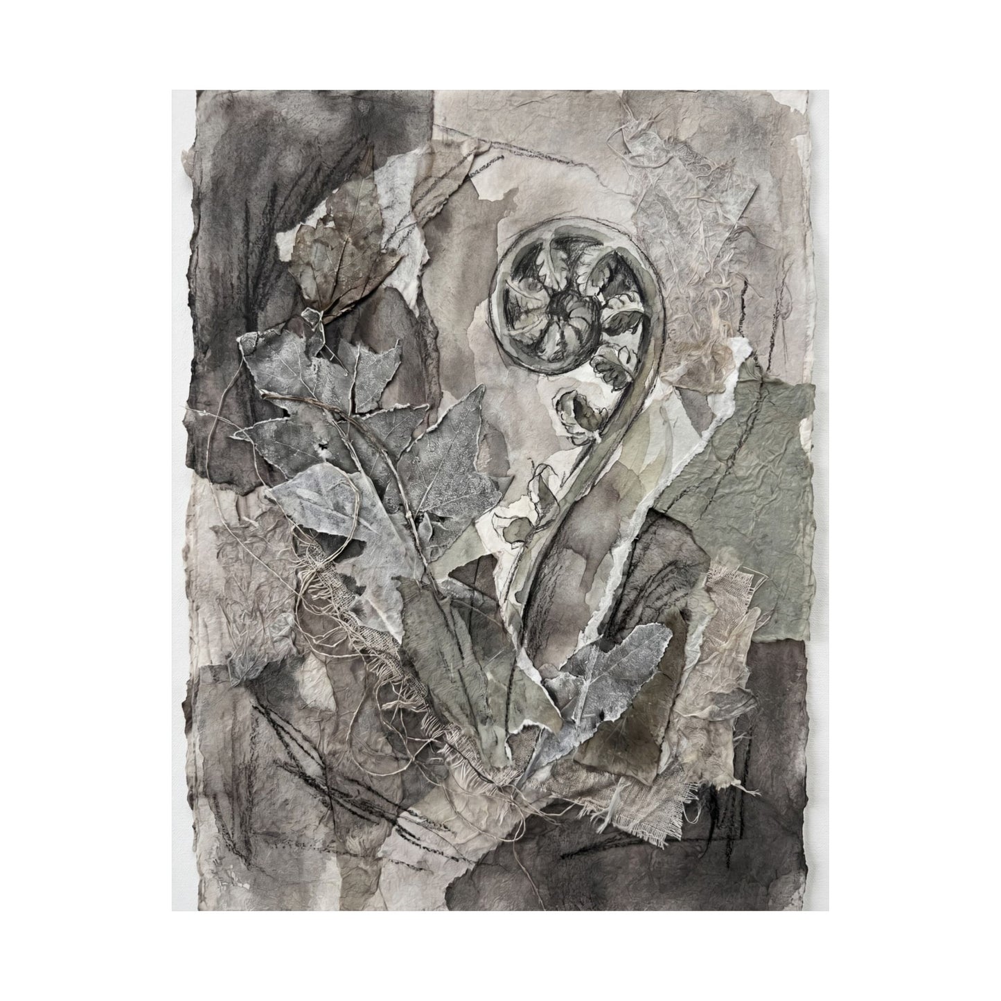 Mono No Aware Fern Unfurling Wall Art Print - Japandi Texture
