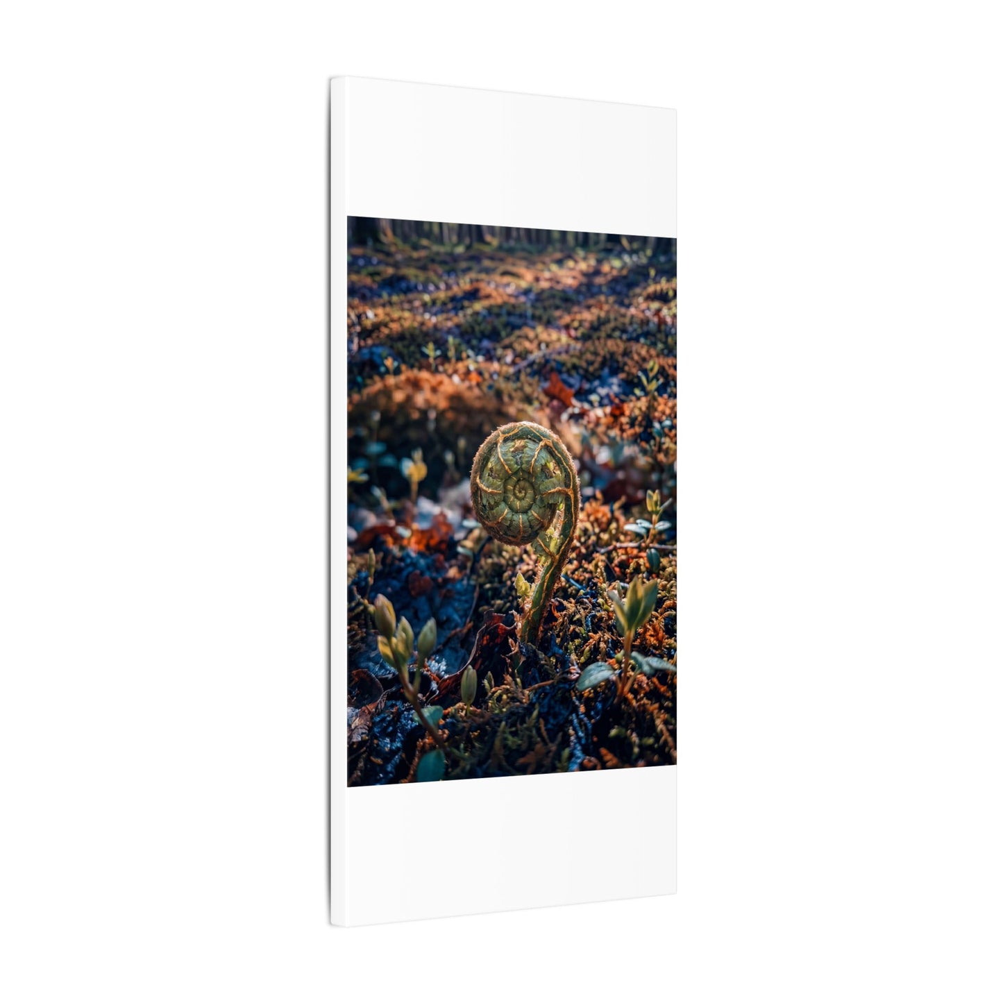 Kintsugi Fern Unfurling in Dappled | Gold Vein Canvas Art