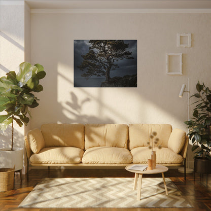Dappled Pine Tree Canvas Art - Dark Japandi Fukinsei