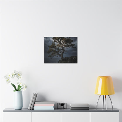 Dappled Pine Tree Canvas Art - Dark Japandi Fukinsei