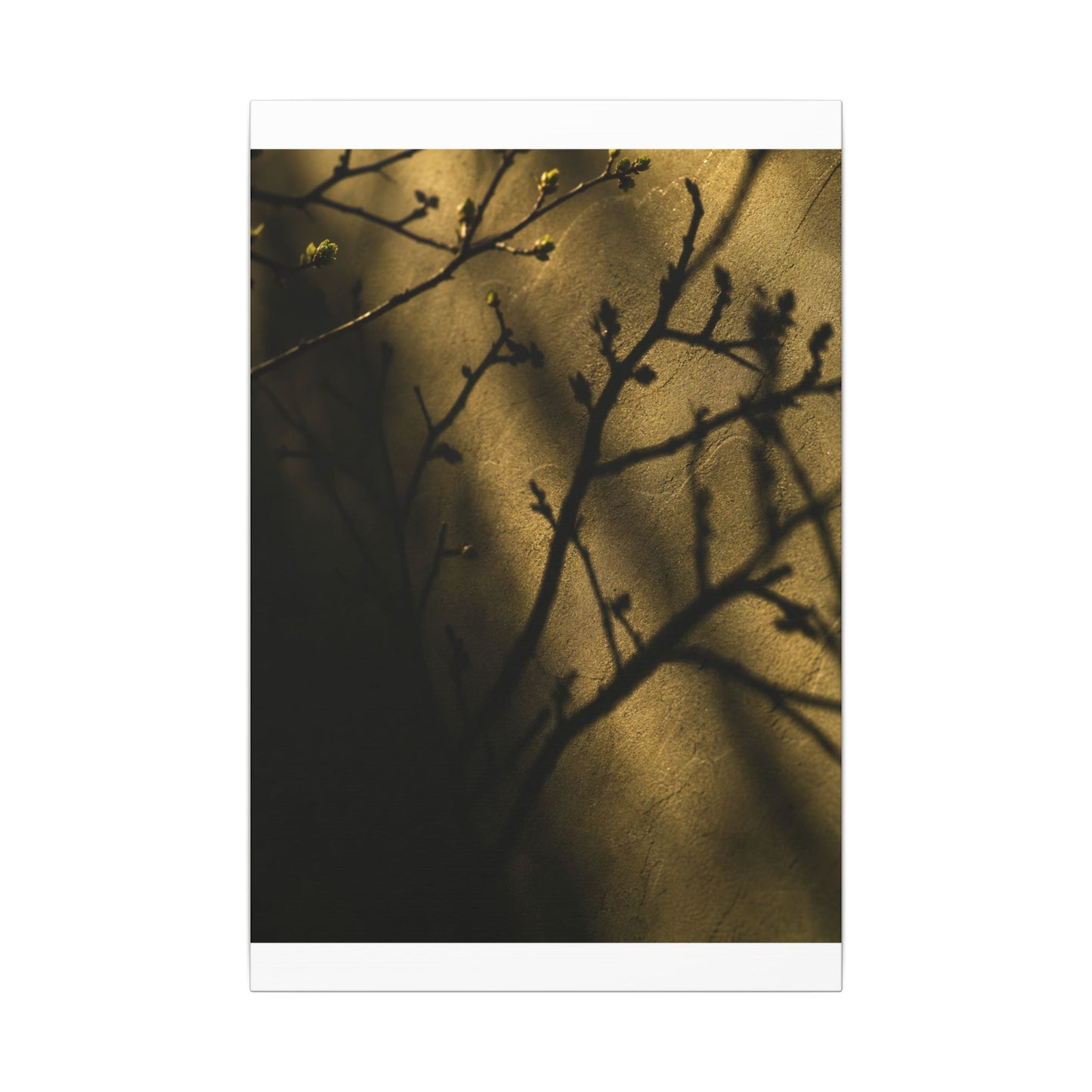 Golden Hour Shadow Play Canvas Art - Dark Japandi Seijaku