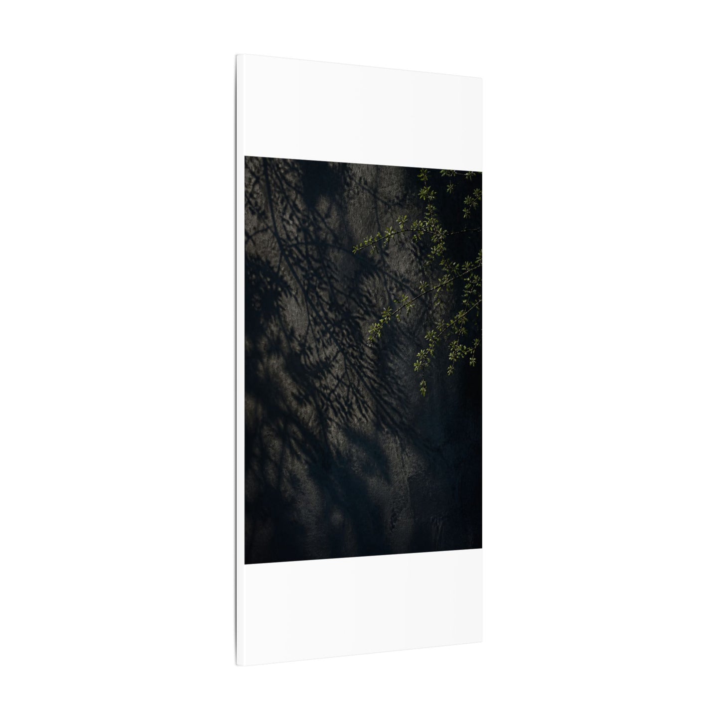 Overcast Shadow Play Canvas Art - Dark Japandi Seijaku