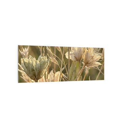 Summer Dried Flowers Minimal Line Canvas Art | Cozy Decor