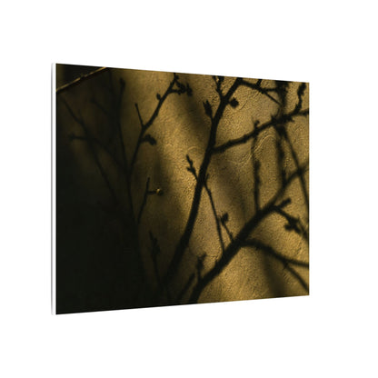 Golden Hour Shadow Play Canvas Art - Dark Japandi Seijaku