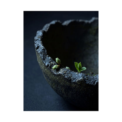 Ceramic Bowl Wall Art Print | Spring Dark Japandi Moody Minimal Art