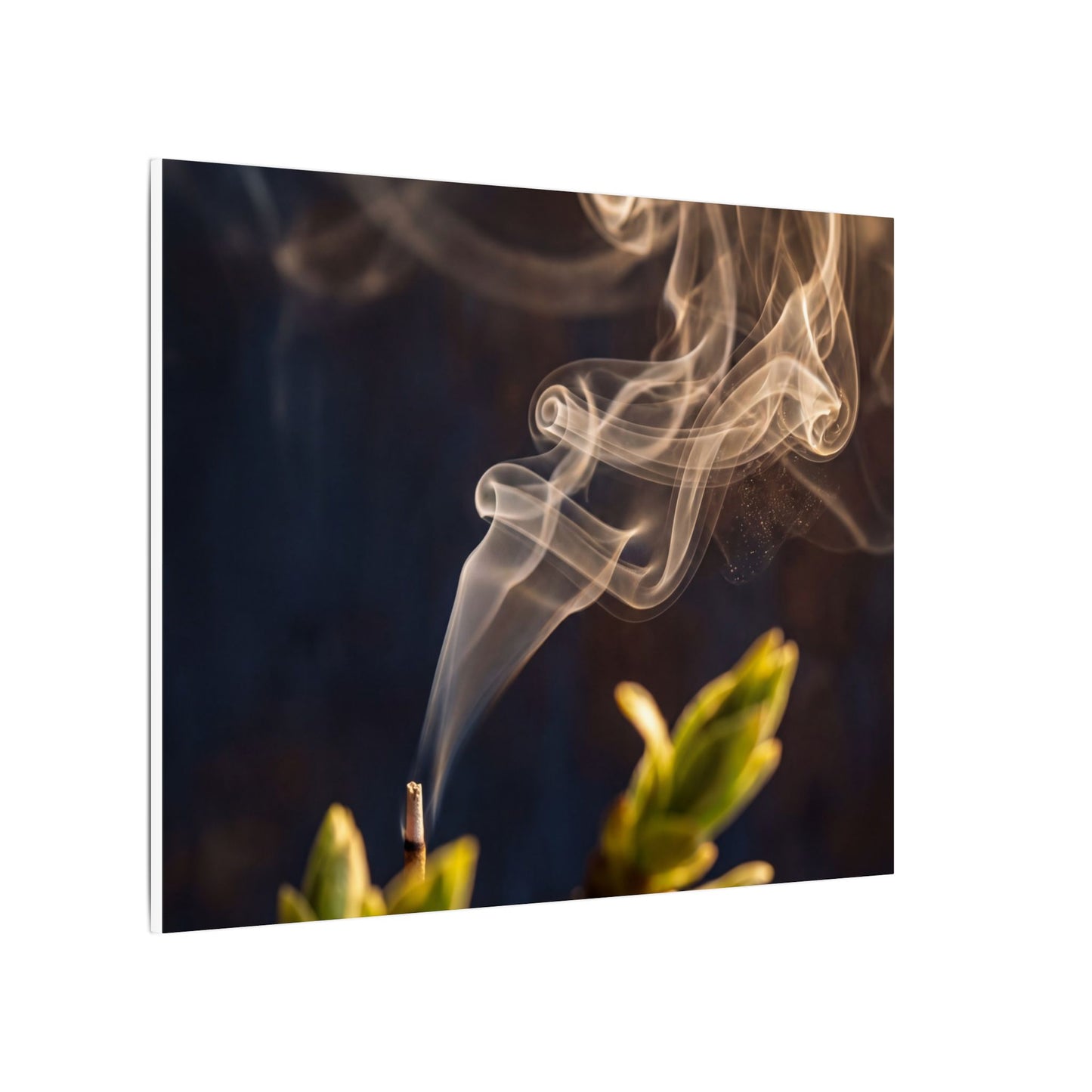 Incense Smoke Spring Canvas Art | Dark Japandi Atmospheric Design