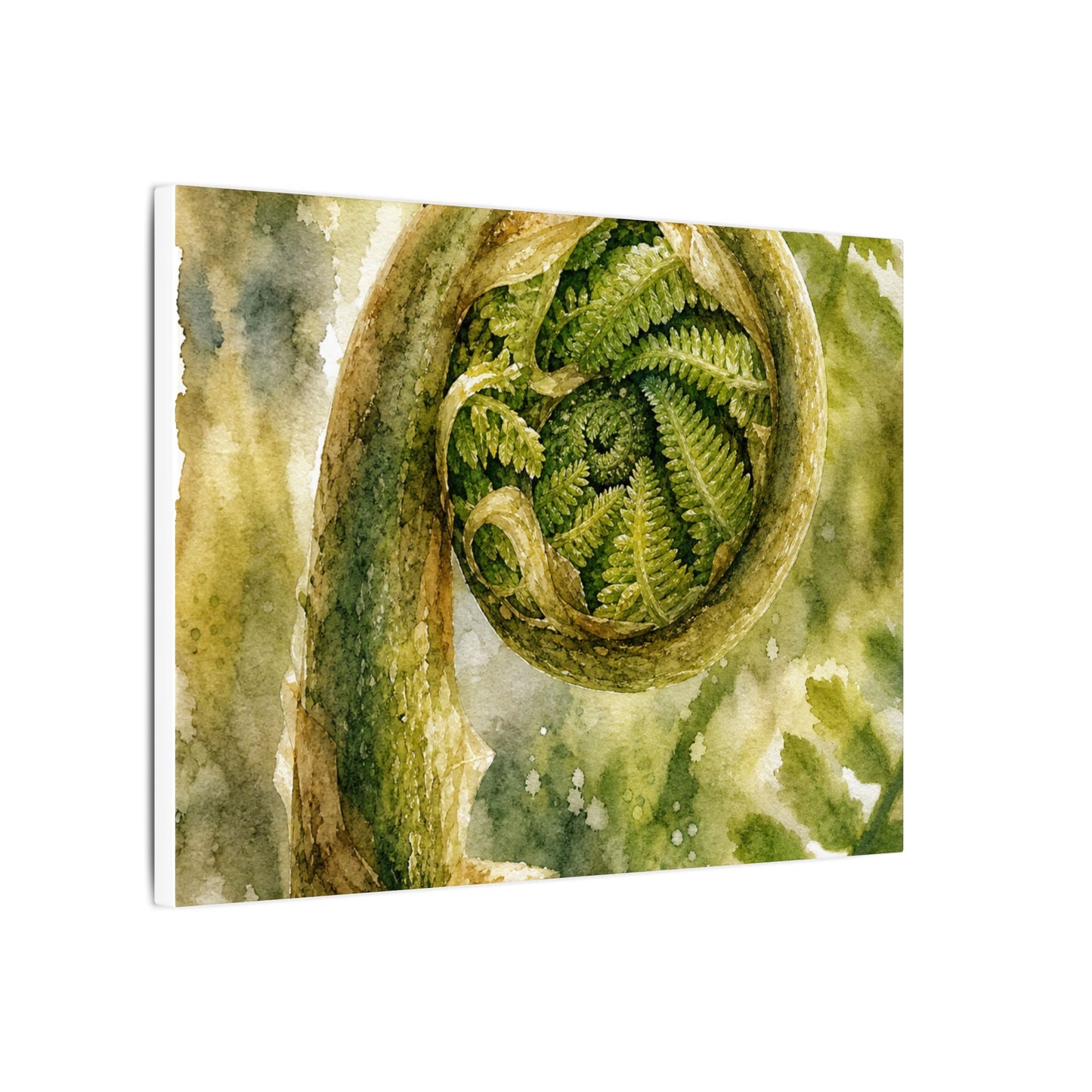 Japandi Fern Unfurling in Dappled | Watercolor Canvas Art