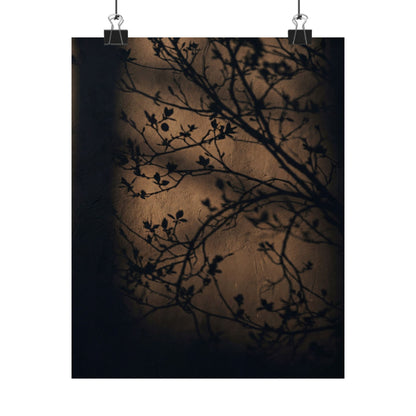 Sophisticated Shadow Play Wall Art Print - Shadow Zen Dark Japandi Art Print