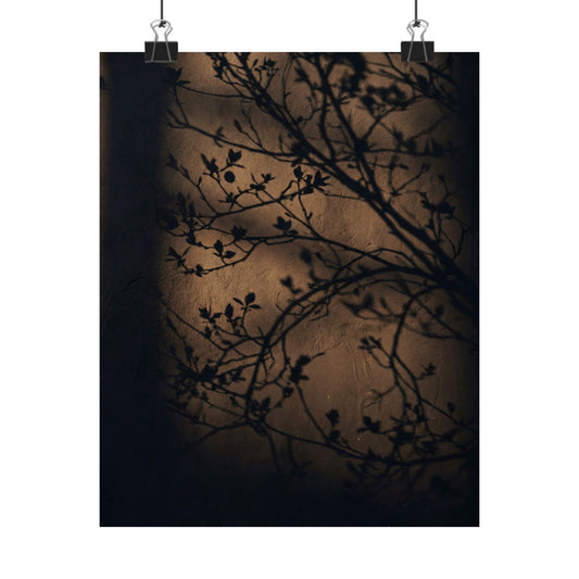 Sophisticated Shadow Play Wall Art Print - Shadow Zen Dark Japandi Art Print