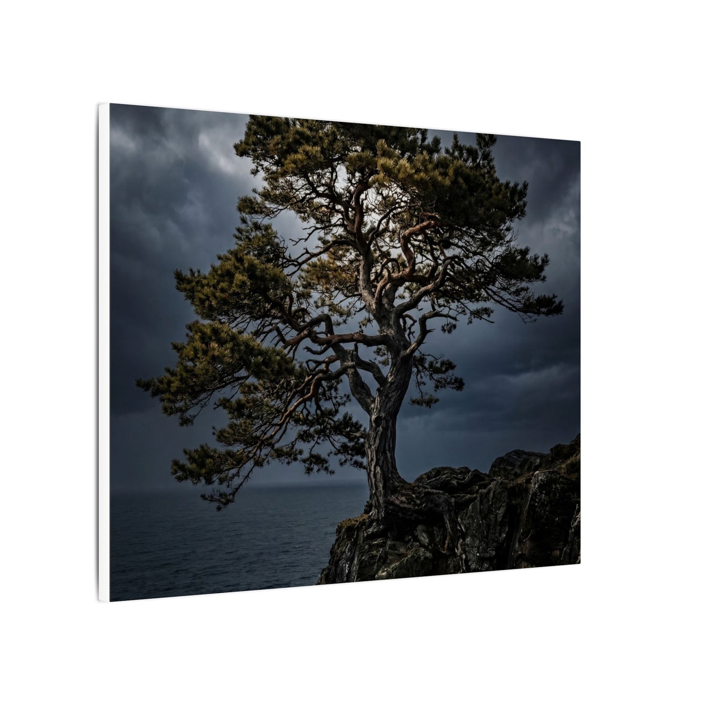 Dappled Pine Tree Canvas Art - Dark Japandi Fukinsei