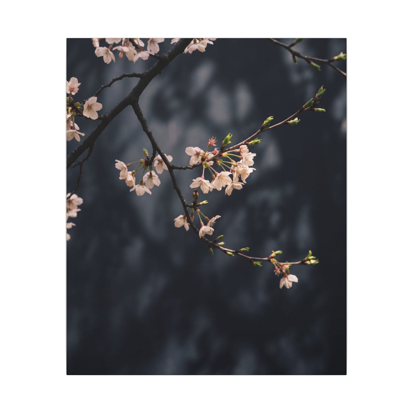 Cherry Blossom Moody Minimal Canvas Art | Bold Dark Japandi Art
