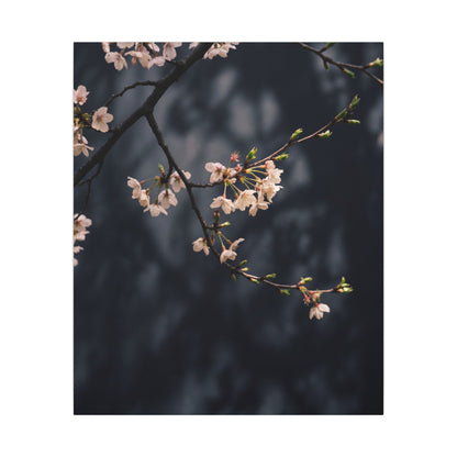 Cherry Blossom Moody Minimal Canvas Art | Bold Dark Japandi Art