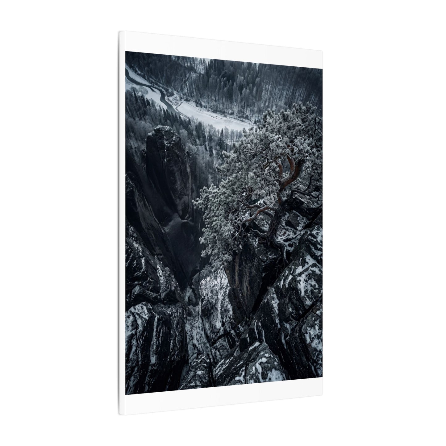 Dark Japandi Pine Tree in Dappled | Dark Texture Canvas Art