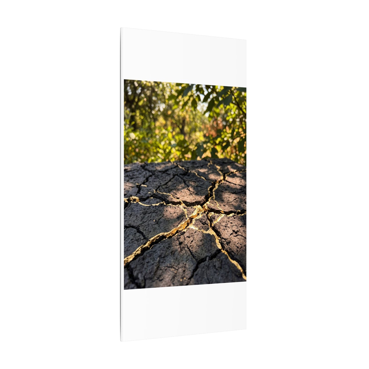 Shibui Cracked Earth Canvas Art - Kintsugi Gold Repair
