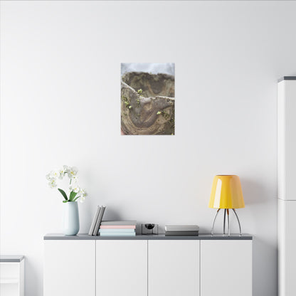 Overcast Ceramic Bowl Canvas Art - Japandi Fukinsei