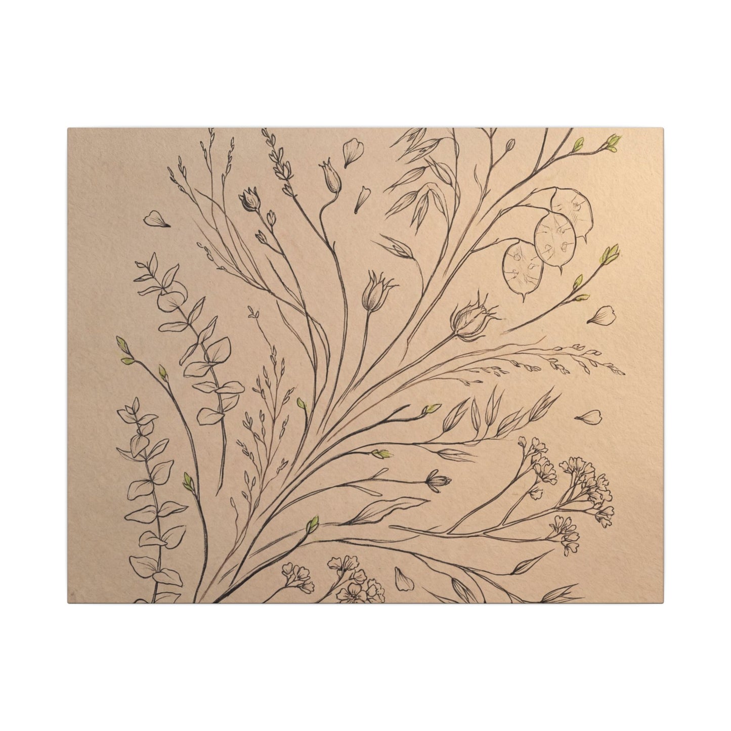 Dried Flowers Canvas Art | Spring Japandi Minimal Line Art Art Print