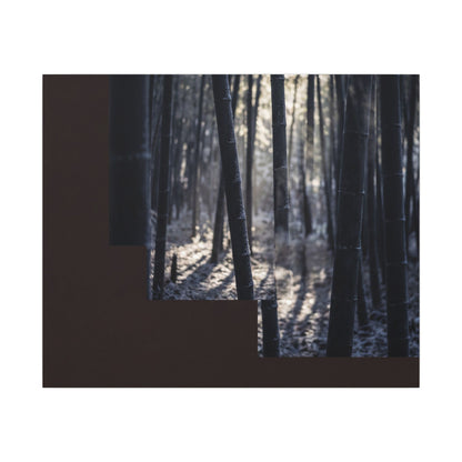 Bamboo Grove Canvas Art | Winter Dark Japandi Moody Minimal Art