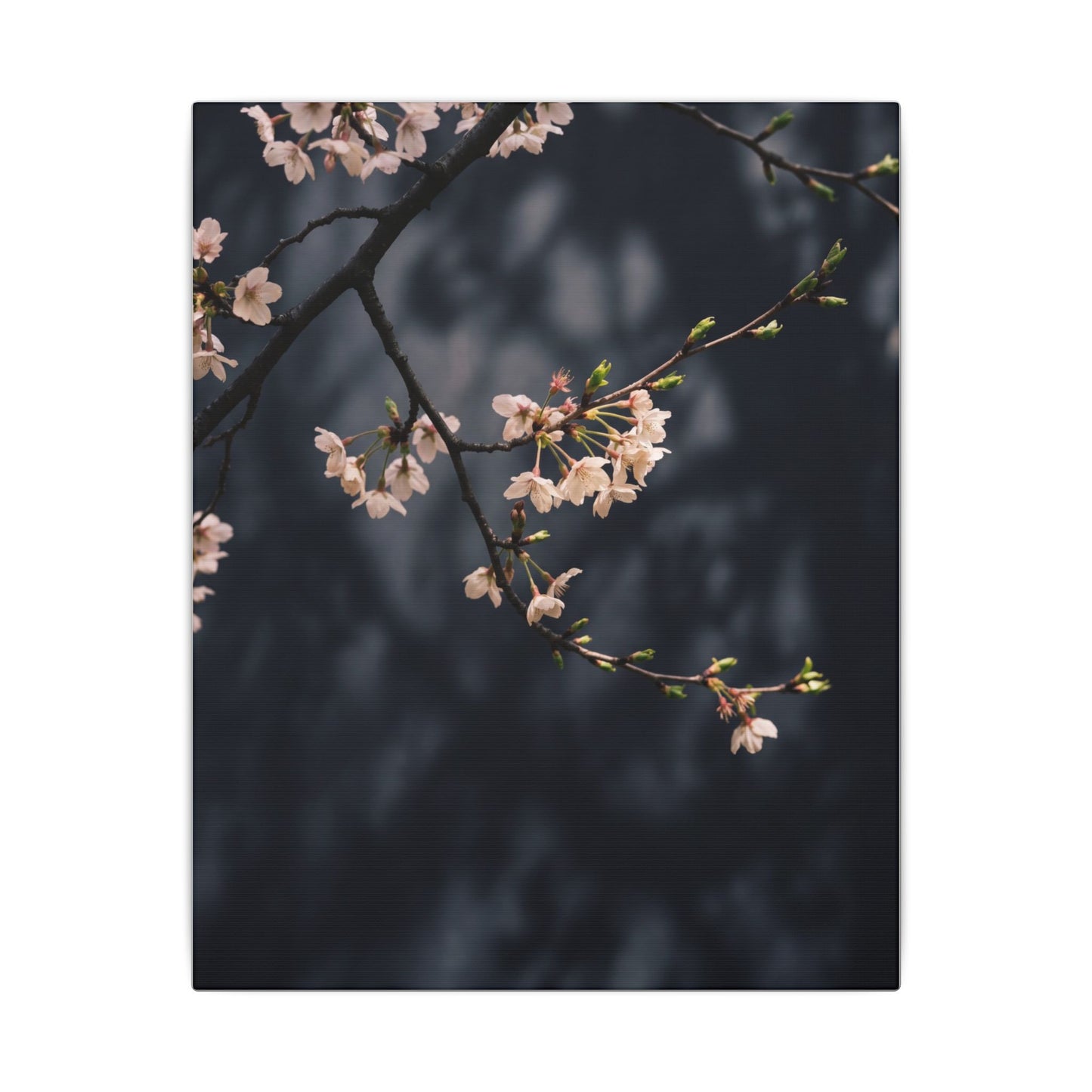 Cherry Blossom Moody Minimal Canvas Art | Bold Dark Japandi Art