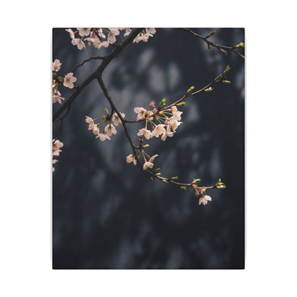 Cherry Blossom Moody Minimal Canvas Art | Bold Dark Japandi Art