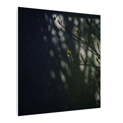 Dark Japandi Shoji Screen in Dappled | Moody Minimal Canvas Art