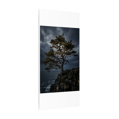 Dappled Pine Tree Canvas Art - Dark Japandi Fukinsei