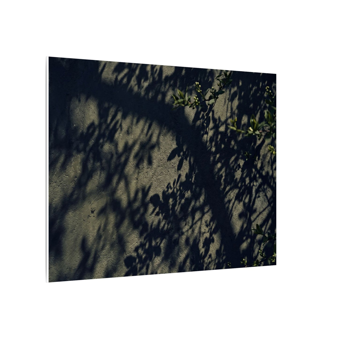 Atmospheric Shadow Play Canvas Art - Moody Minimal Dark Japandi