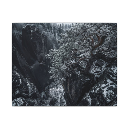 Dark Japandi Pine Tree in Dappled | Dark Texture Canvas Art