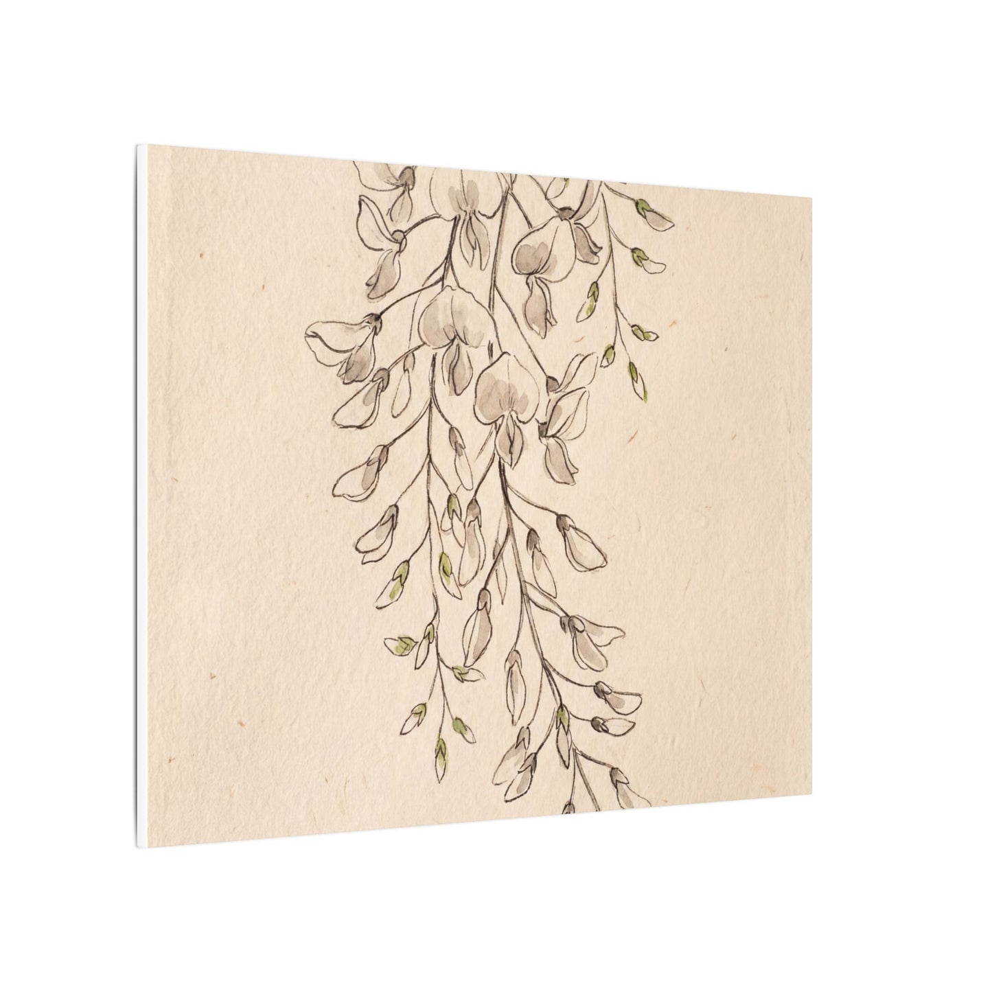 Japandi Wisteria in Golden Hour | Minimal Line Canvas Art