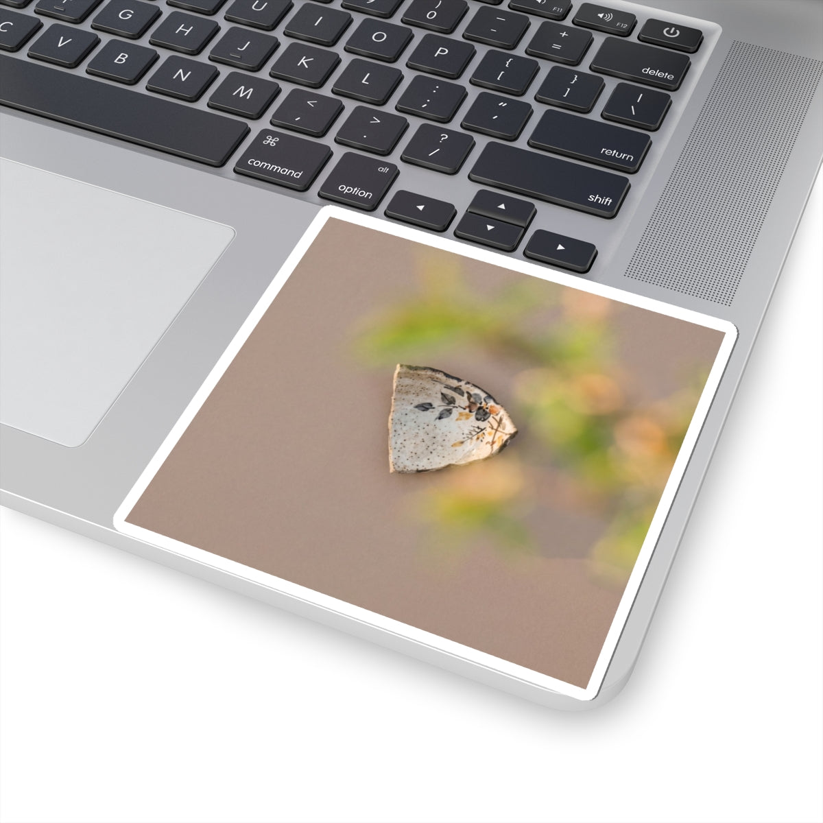 Golden Hour Ceramic Bowl Sticker - Japandi Ma