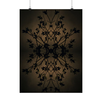 Shadow Play Wall Art Print | Spring Dark Japandi Shadow Zen Art