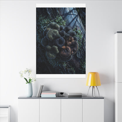 Wild Mushrooms Moody Minimal Canvas Art | Moody Dark Japandi Art