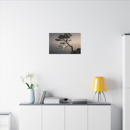 Dawn Pine Tree Canvas Art - Dark Japandi Datsuzoku
