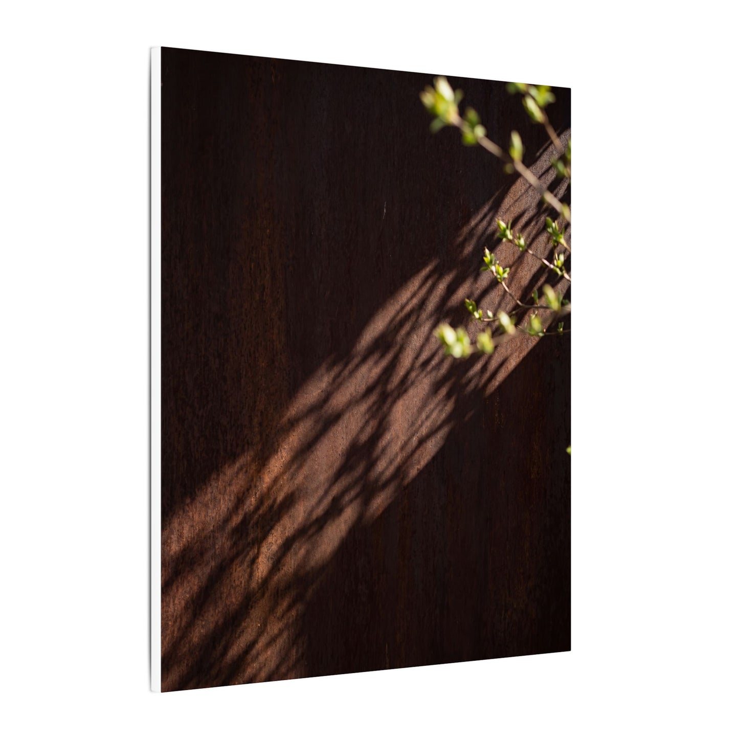 Rust Patina Moody Minimal Canvas Art | Sophisticated Dark Japandi Art