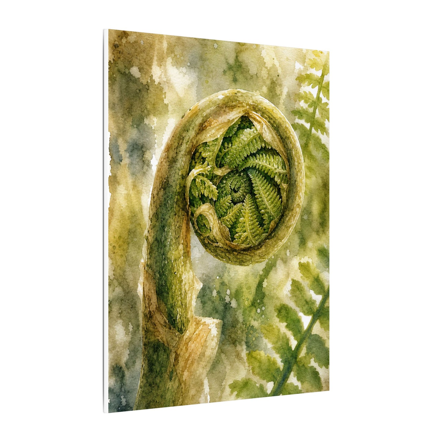 Japandi Fern Unfurling in Dappled | Watercolor Canvas Art