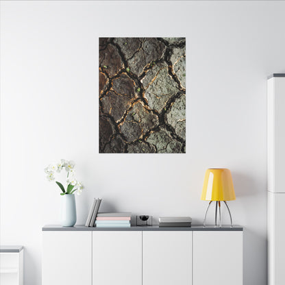 Earthy Cracked Earth Canvas Art - Japanese Pattern Japandi