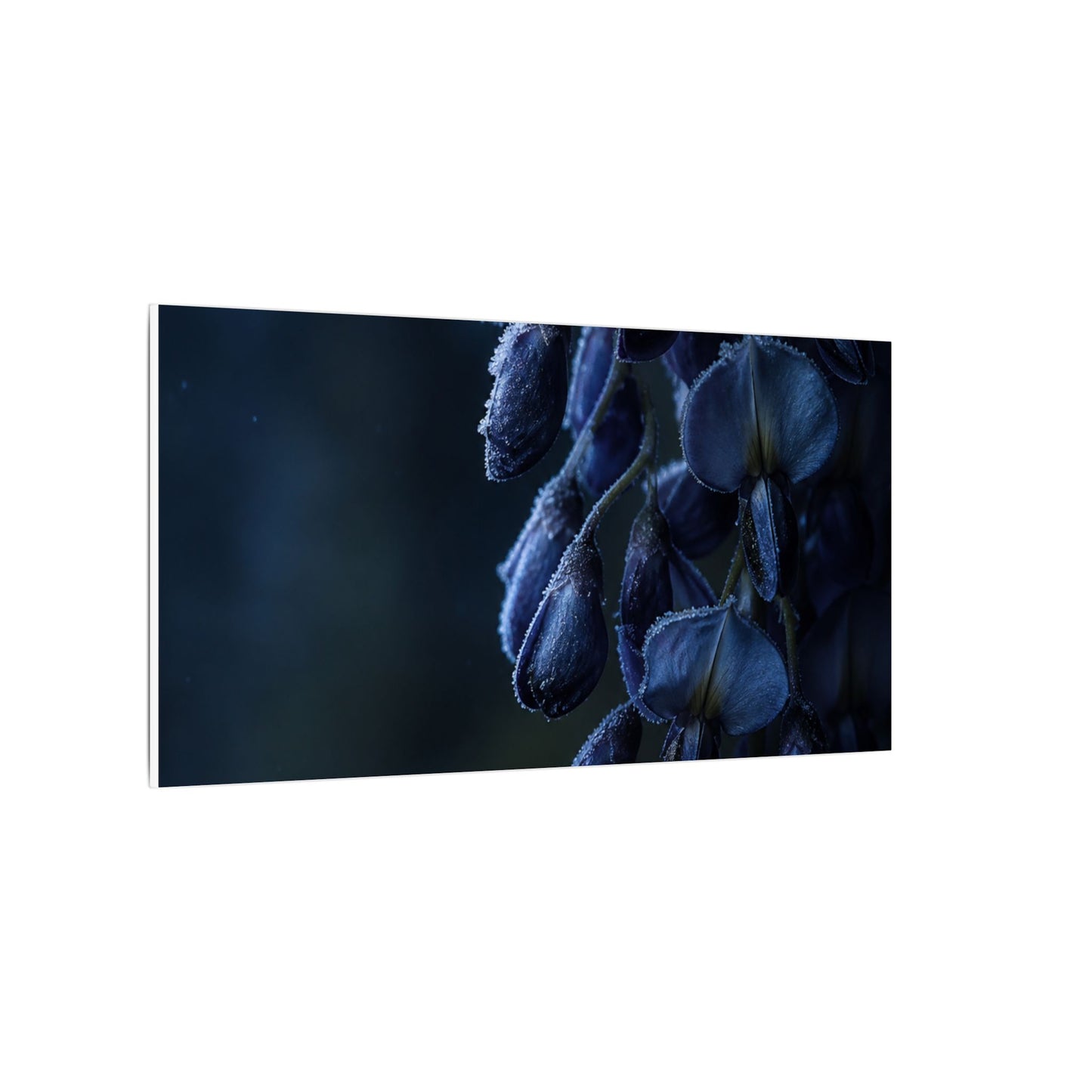 Winter Wisteria Shadow Zen Canvas Art | Atmospheric Decor
