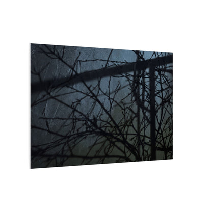 Moonlight Shadow Play Canvas Art - Dark Japandi Shibui