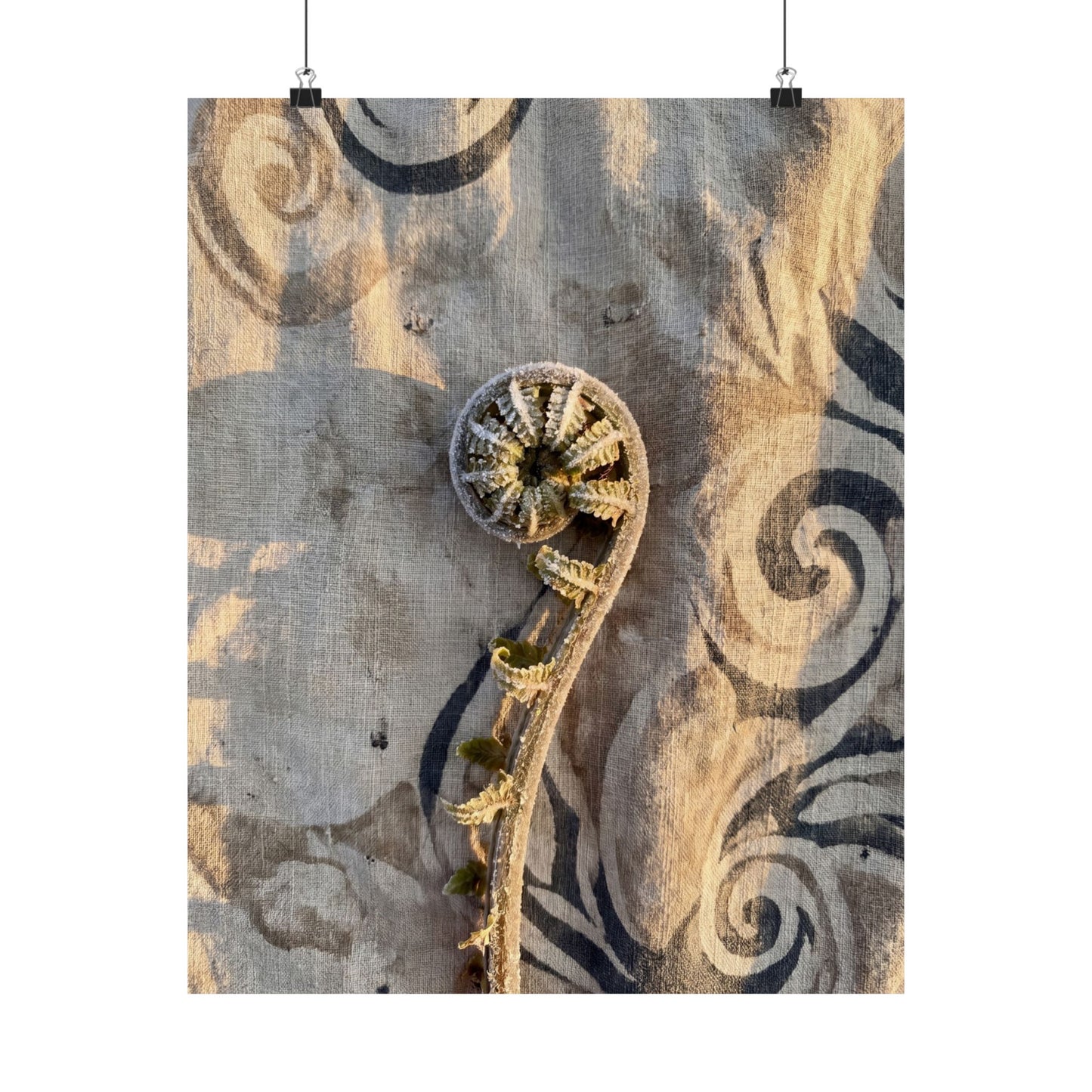 Fern Unfurling Winter Wall Art Print | Japandi Warm Design