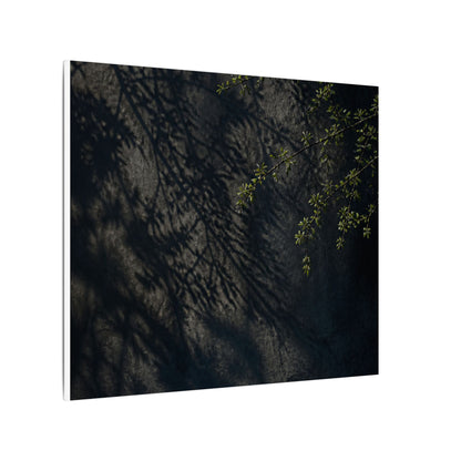 Overcast Shadow Play Canvas Art - Dark Japandi Seijaku