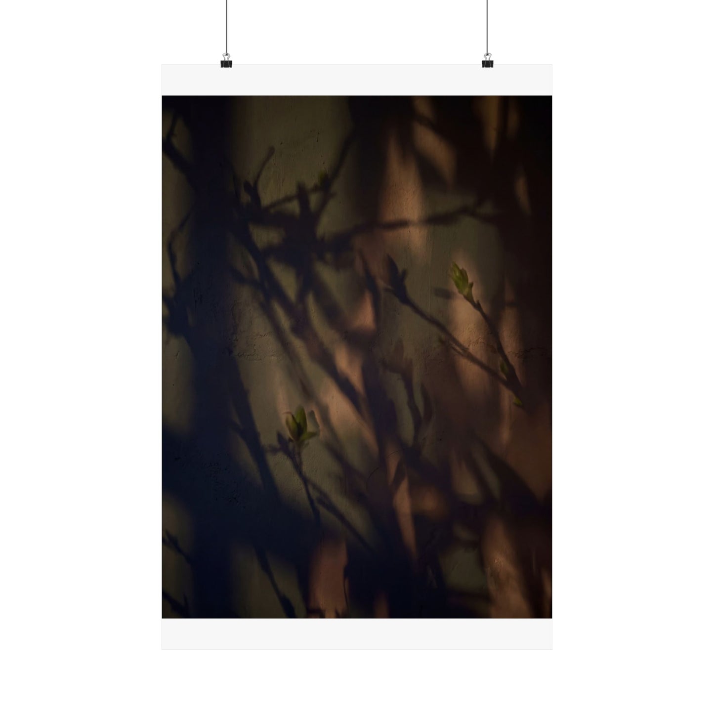 Shadow Play Spring Wall Art Print | Dark Japandi Sophisticated Design