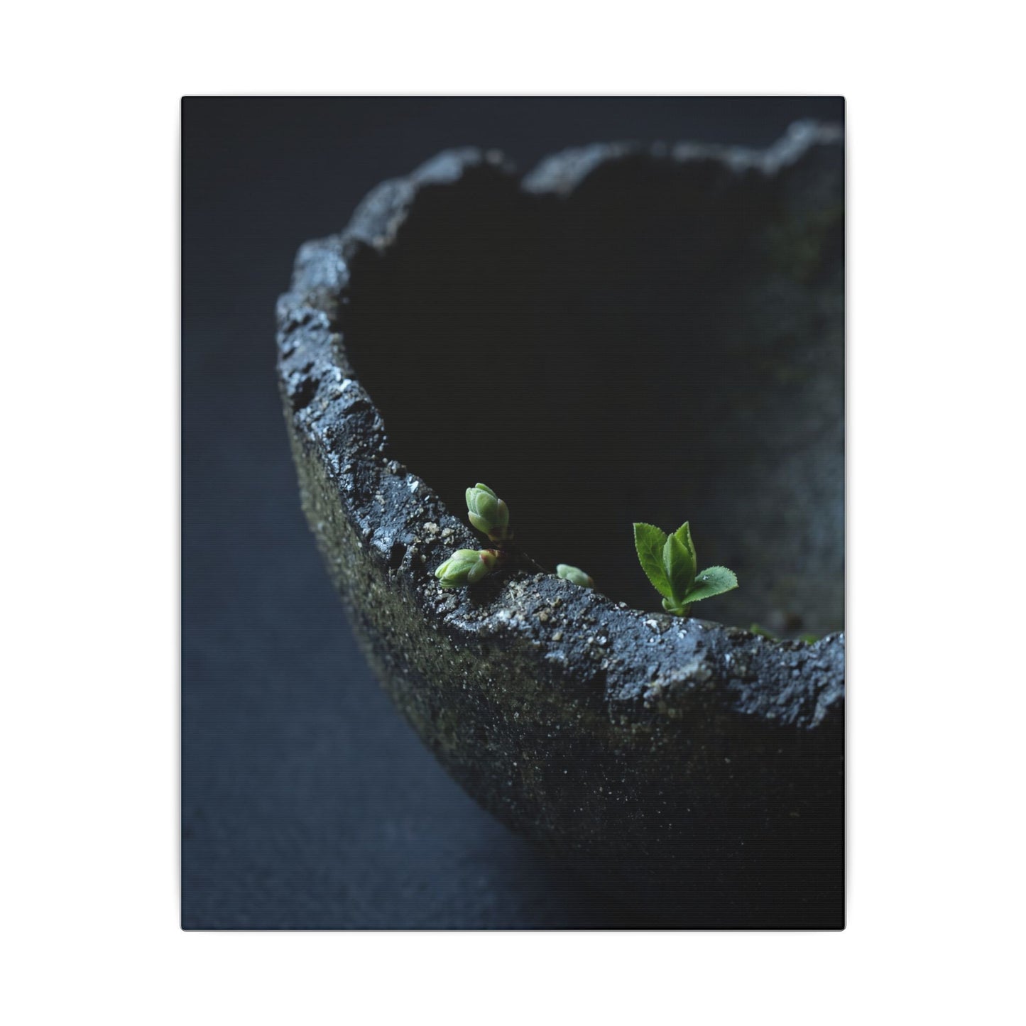 Ceramic Bowl Moody Minimal Canvas Art | Sophisticated Dark Japandi Art
