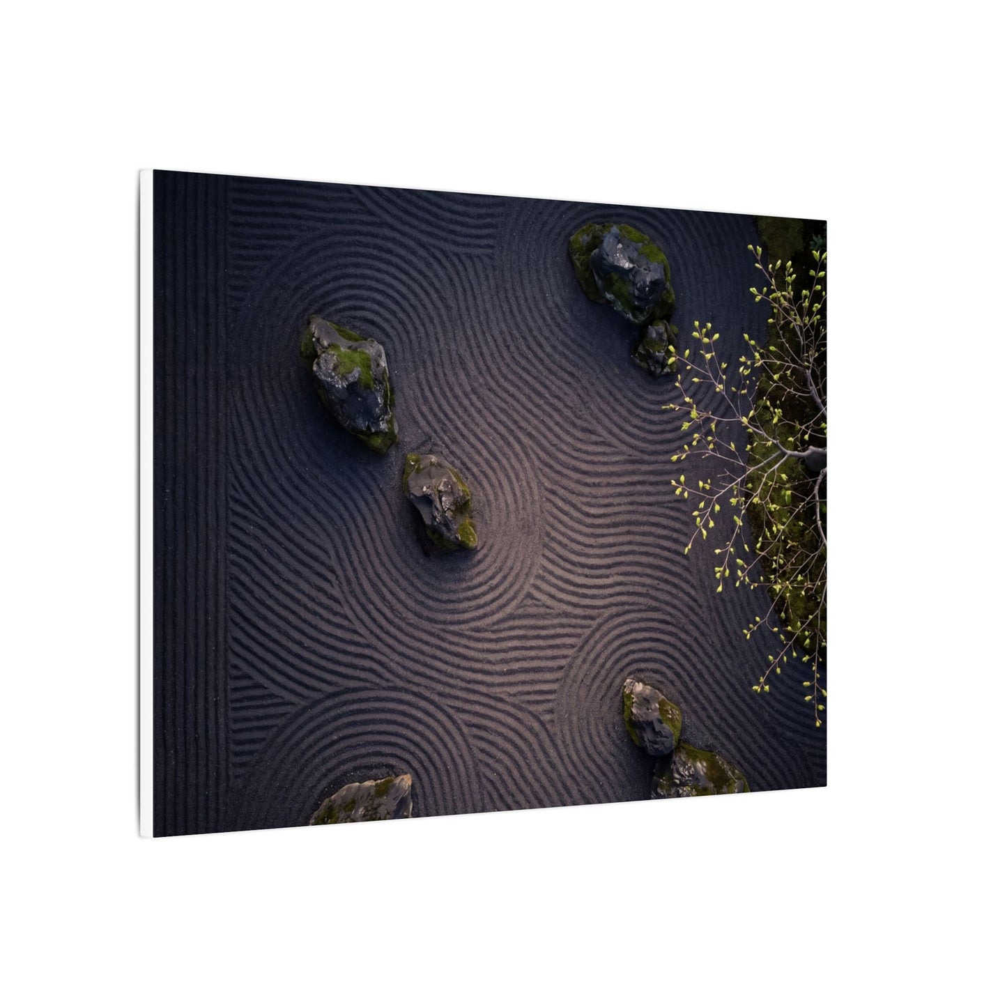 Dark Japandi Rock Garden in Dawn | Shadow Zen Canvas Art