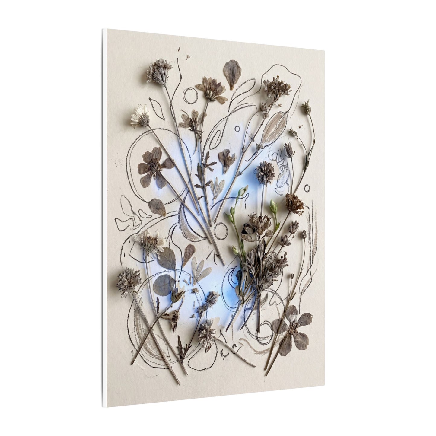 Dried Flowers Minimal Line Canvas Art | Elegant Japandi Art