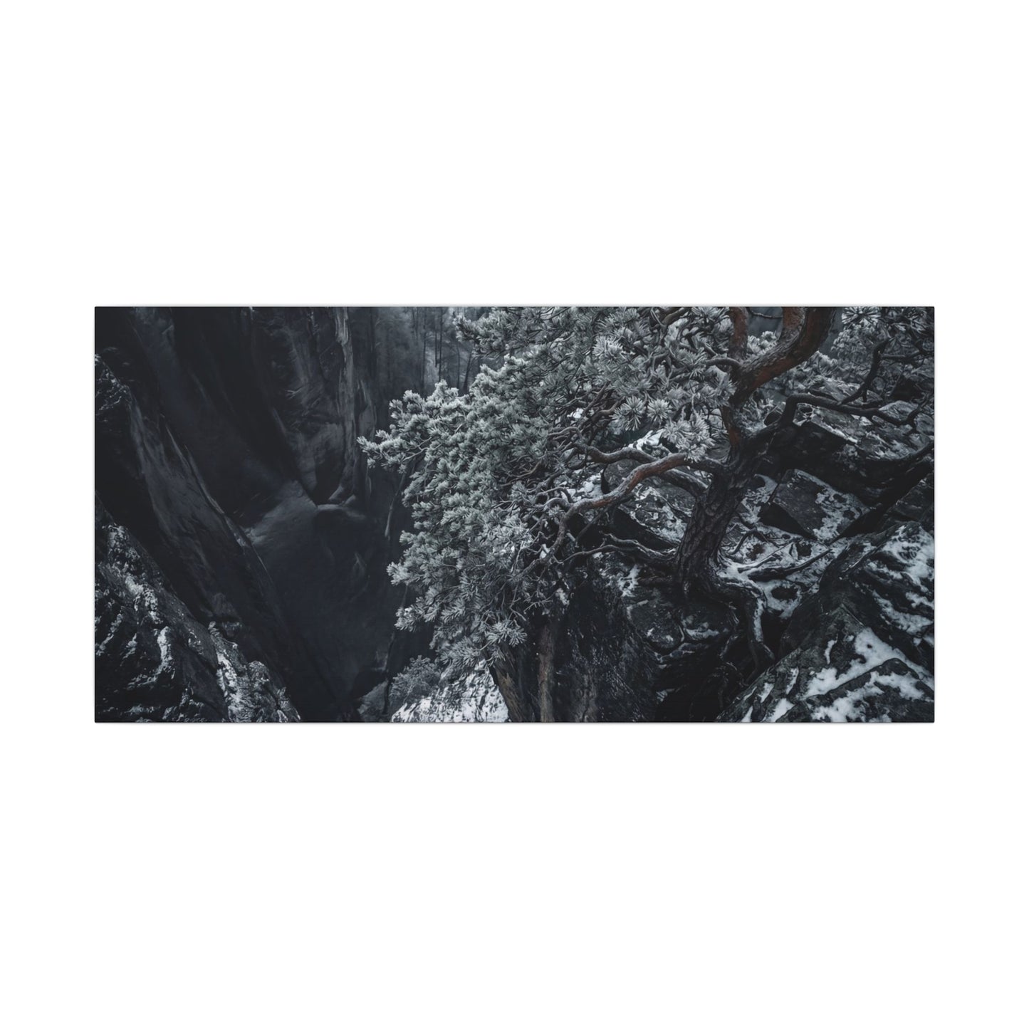 Dark Japandi Pine Tree in Dappled | Dark Texture Canvas Art