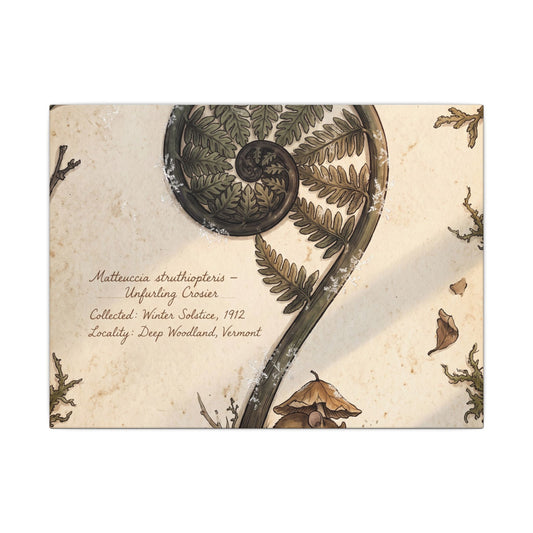 Golden Hour Fern Unfurling Canvas Art - Cottagecore Datsuzoku