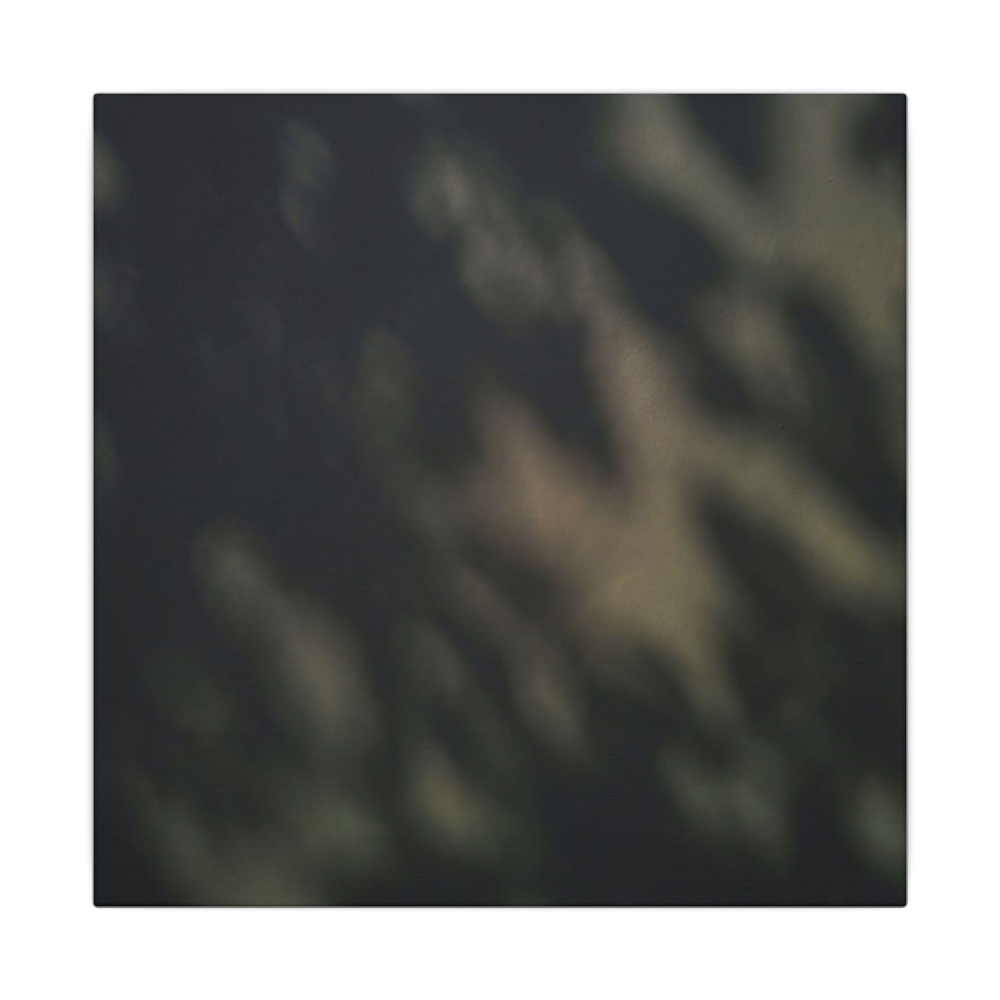Dappled Shadow Play Canvas Art - Dark Japandi Ma