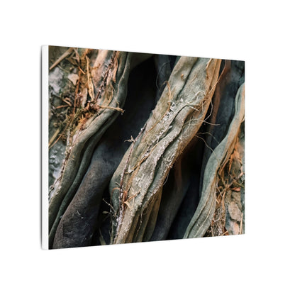 Silk Drape Winter Canvas Art | Japandi Cozy Design